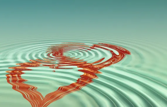 BoVegas Casino Assistance